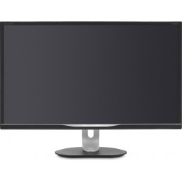 Monitor  Philips P-line...