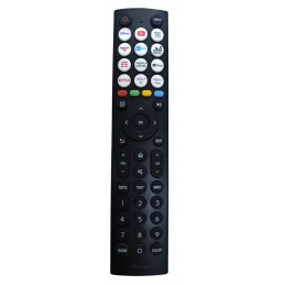Pilot HISENSE EN2Q36H...