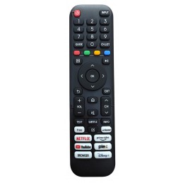 Pilot HISENSE EN2ZF30X6 (nr...