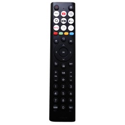 PILOT HISENSE EN2B38H...